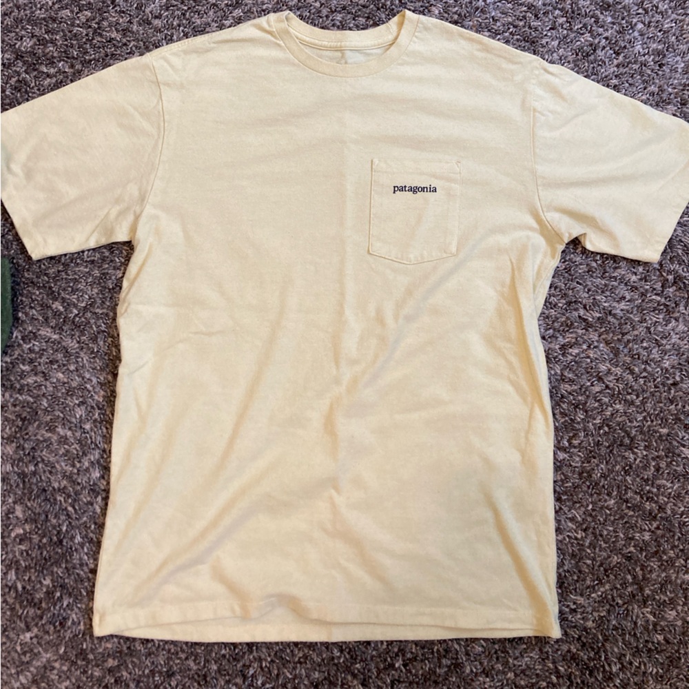 Patagonia Responsibili-Tee Shirt